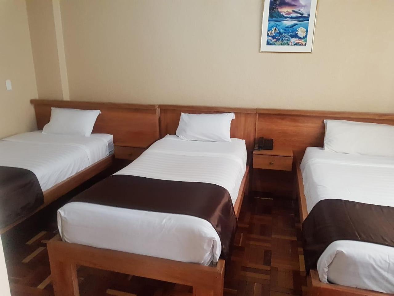 Hostal Loro Verde Quito Esterno foto