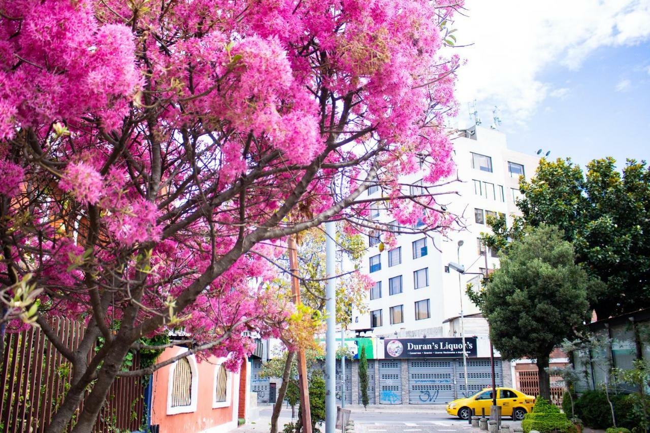Hostal Loro Verde Quito Esterno foto